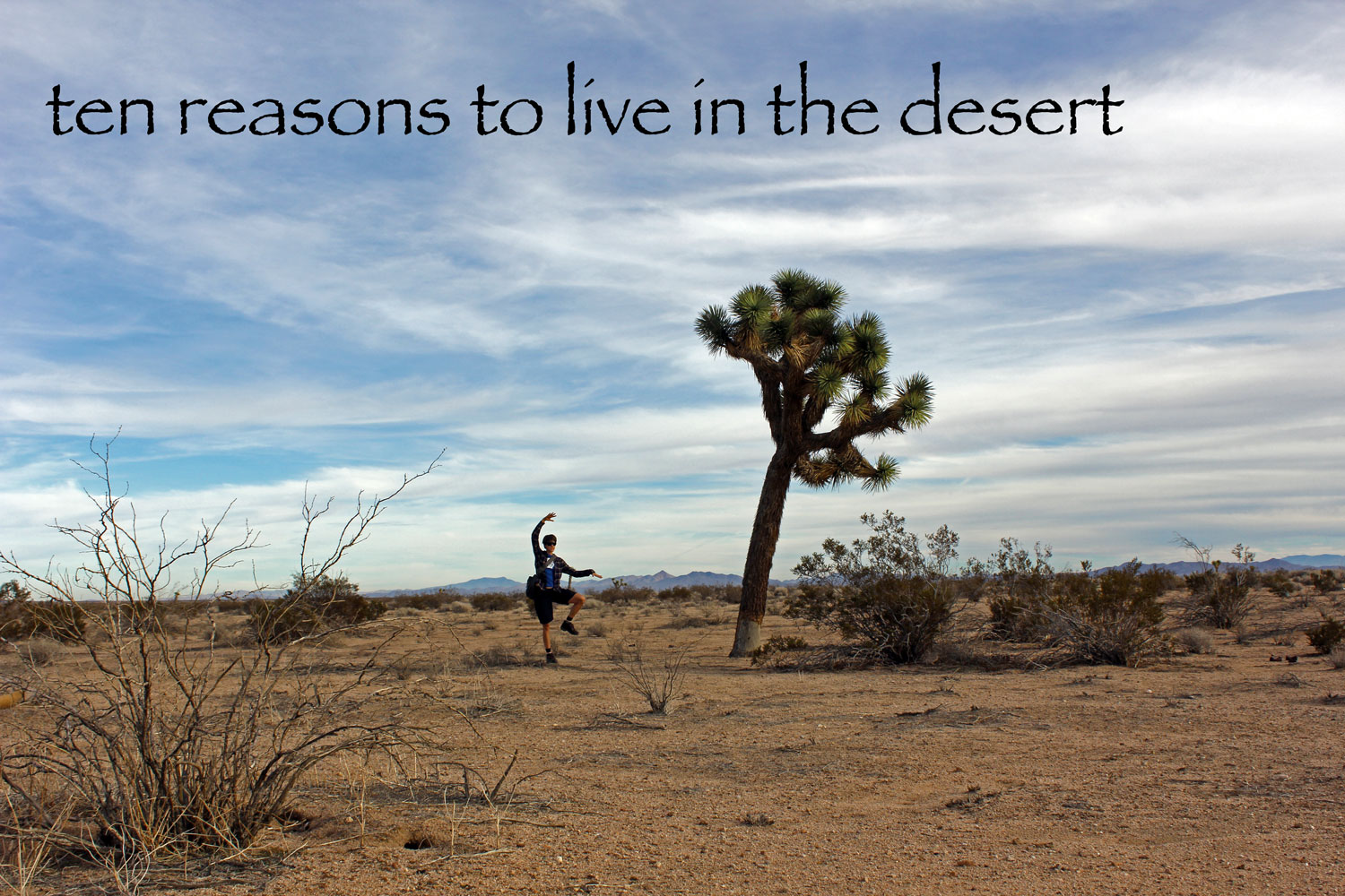 The living desert weather
