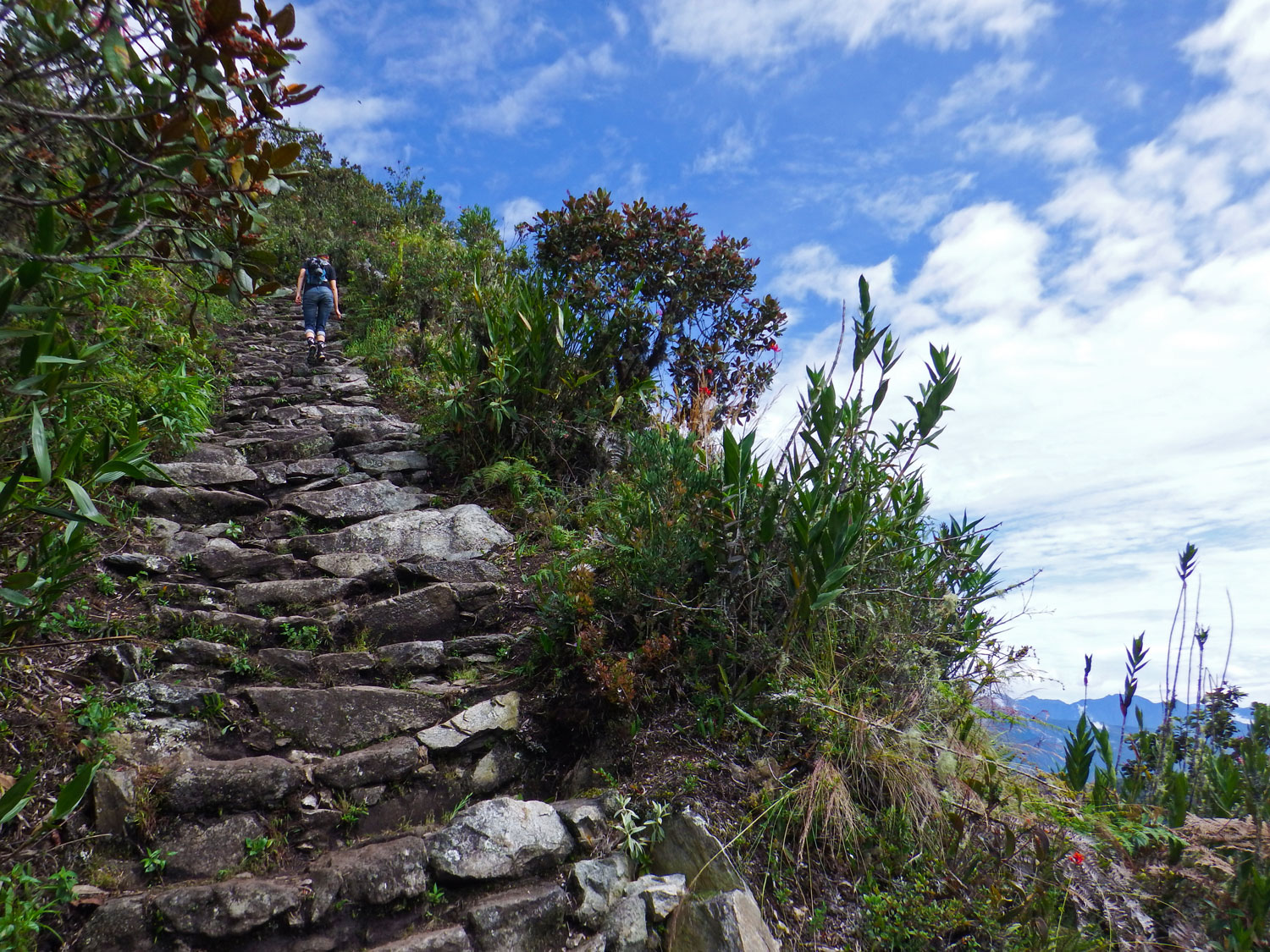 Stairs at Machu Picchu = stellar cross-training! 
