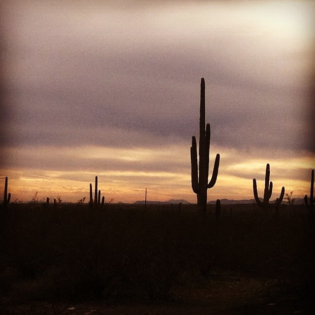 #fauxtogram | Phoenix, Arizona