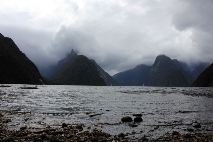 Milford Sound: Marble Beaches, Forty-Dollar Campsites and Fresh Snow